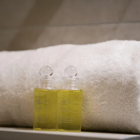 Aiguille Verte & Hotel